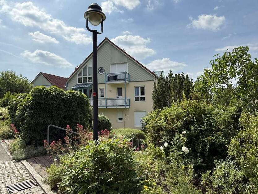 Wohnung zum Mieten in Dresden 452,50 € 49.8 m²