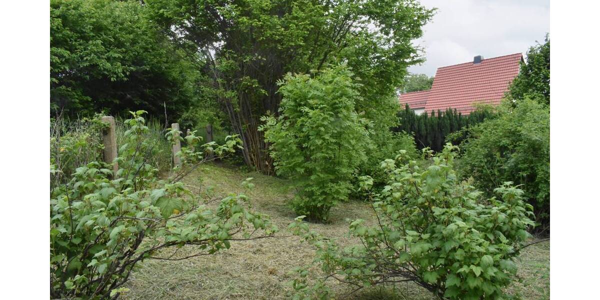 Grundstück Pulsnitz - 195.000&euro; | Angebot:25749409