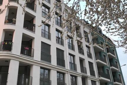 4-Zimmer Wohnung Dresden Zentrum 4 zimmer