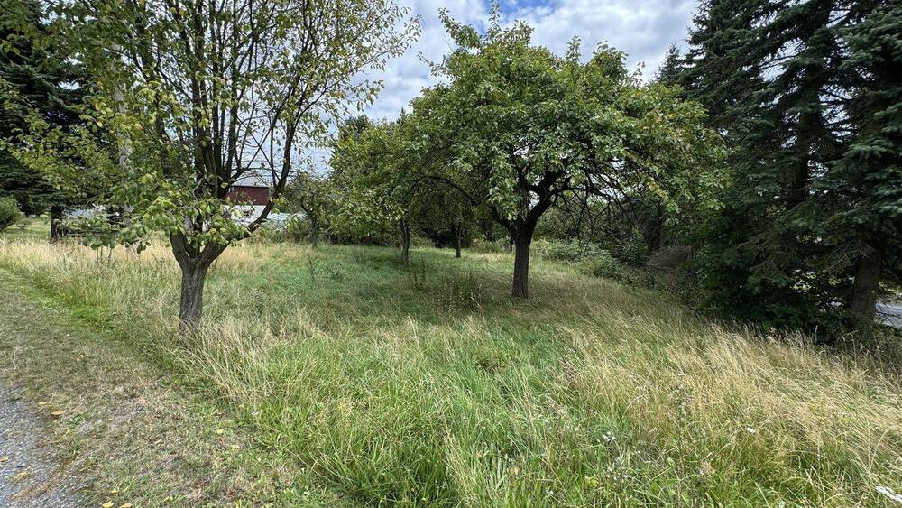 Bauernhaus, Landhaus Bad Gottleuba-Berggießhübel Börnersdorf-Breitenau - 8 Zimmer, 268 m&sup2;, 99.000&euro; | Angebot:26018053