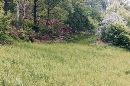 Grundstück Tharandt - 89.000&euro; | Angebot:23976084