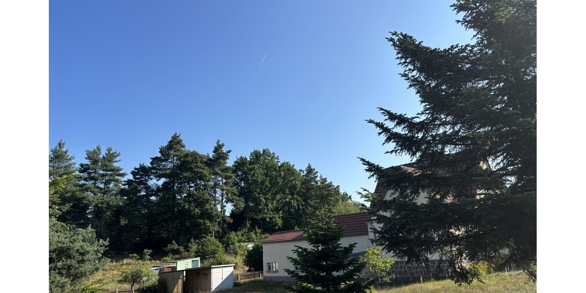 Einfamilienhaus mit ganz viel Potential und XL Grundstück in begehrter und ruhiger Siedlungslage - Einfamilienhaus Weinböhla | Angebot:27156514