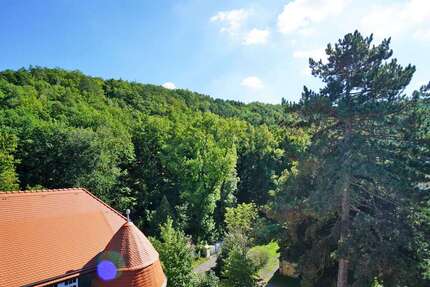 Wohnung Freital / Saalhausen Saalhausen - 2 Zimmer, 40 m&sup2;, 565&euro; | Angebot:27333856