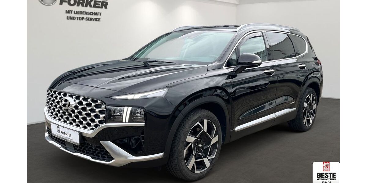 Hyundai SANTA FE 43.450 km 37.750 &euro; Pirna bei Dresden 01796