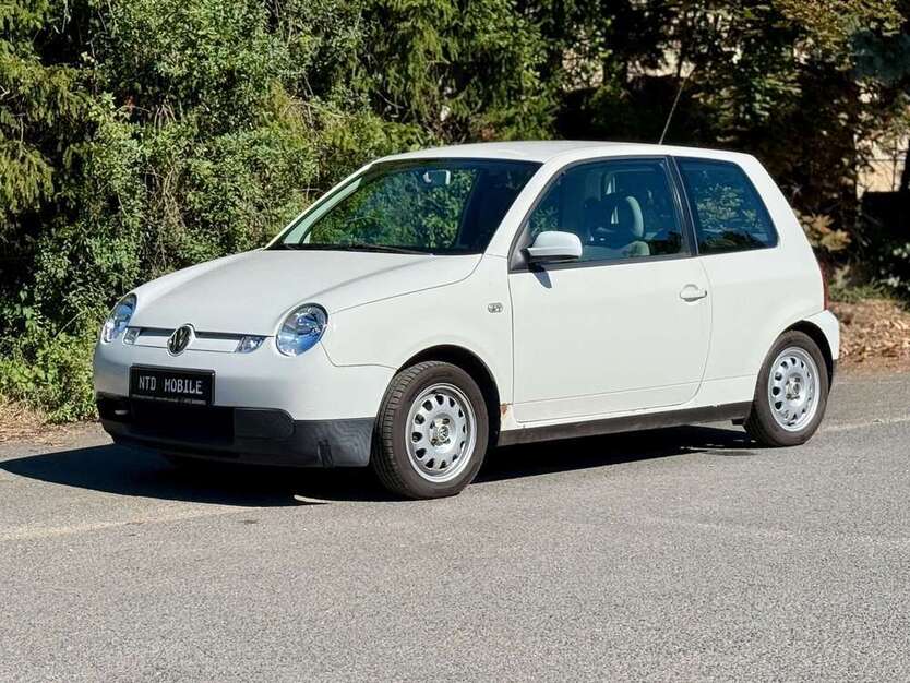 Lupo
