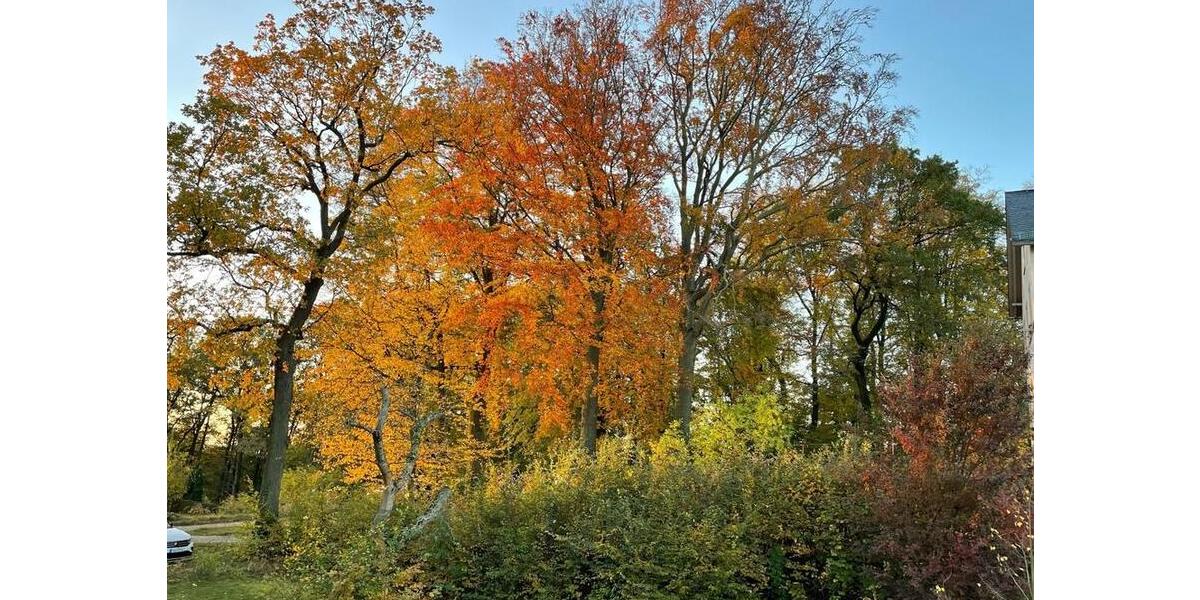 Wohnen auf dem Pillnitzer Hochplatteau saniertes Denkmal 2 zimmer