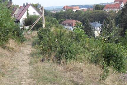 Traumhaftes Baugrundstück für 1 bis 7 Einfamilienhäusern! zimmer