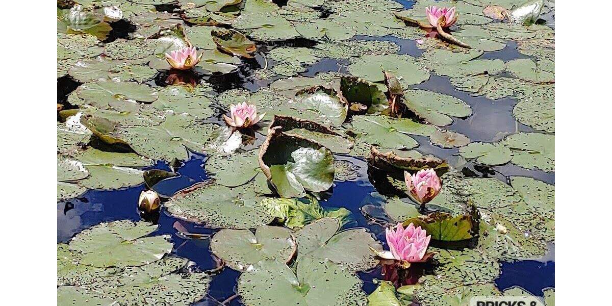 Reihenendhaus Tharandt / Grillenburg Grillenburg - 6 Zimmer, 135 m&sup2;, 195.000&euro; | Angebot:24388264