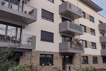 Moderne 3-Zimmer-Wohnung mit Terrasse - Wohnung Dresden Pieschen-Nord/Trachenberge | Angebot:26877074