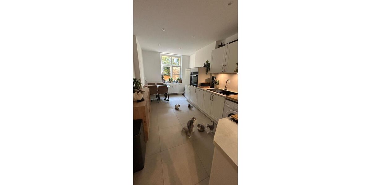 Erdgeschoßwohnung Dresden - 1.5 Zimmer, 33 m&sup2;, 650&euro; | Angebot:24423293