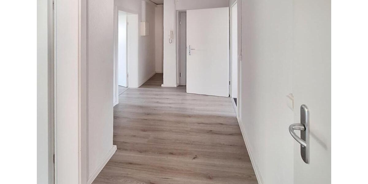 Erdgeschoßwohnung Dresden Blasewitz - 3 Zimmer, 63 m&sup2;, 764&euro; | Angebot:26479904