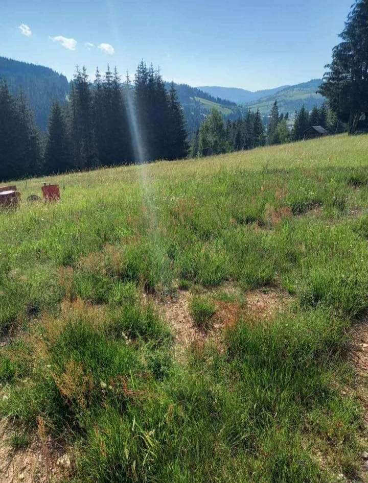 Grundstück zu verkaufen in Rožaje 150.000 € 6000 m²