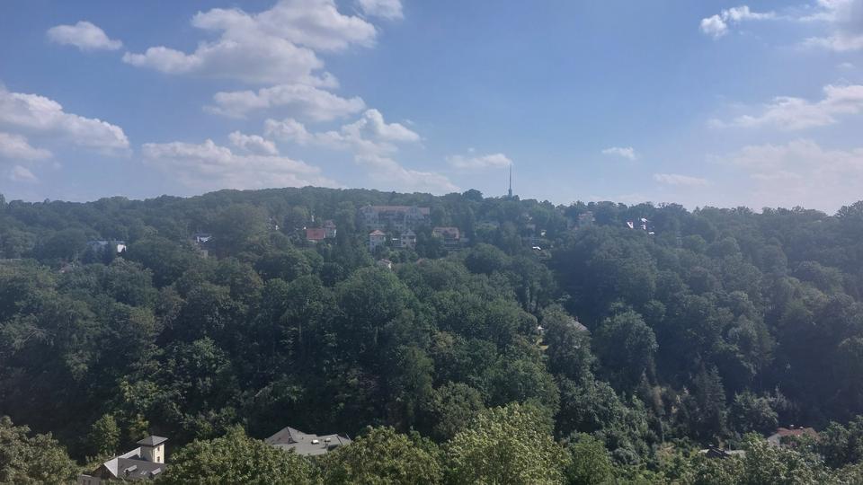 Etagenwohnung Dresden Loschwitz - 5 Zimmer, 140 m&sup2;, 1.652&euro; | Angebot:25867484