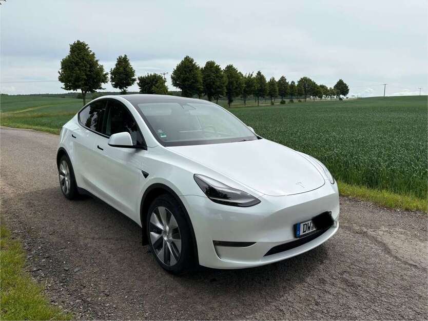 Model Y