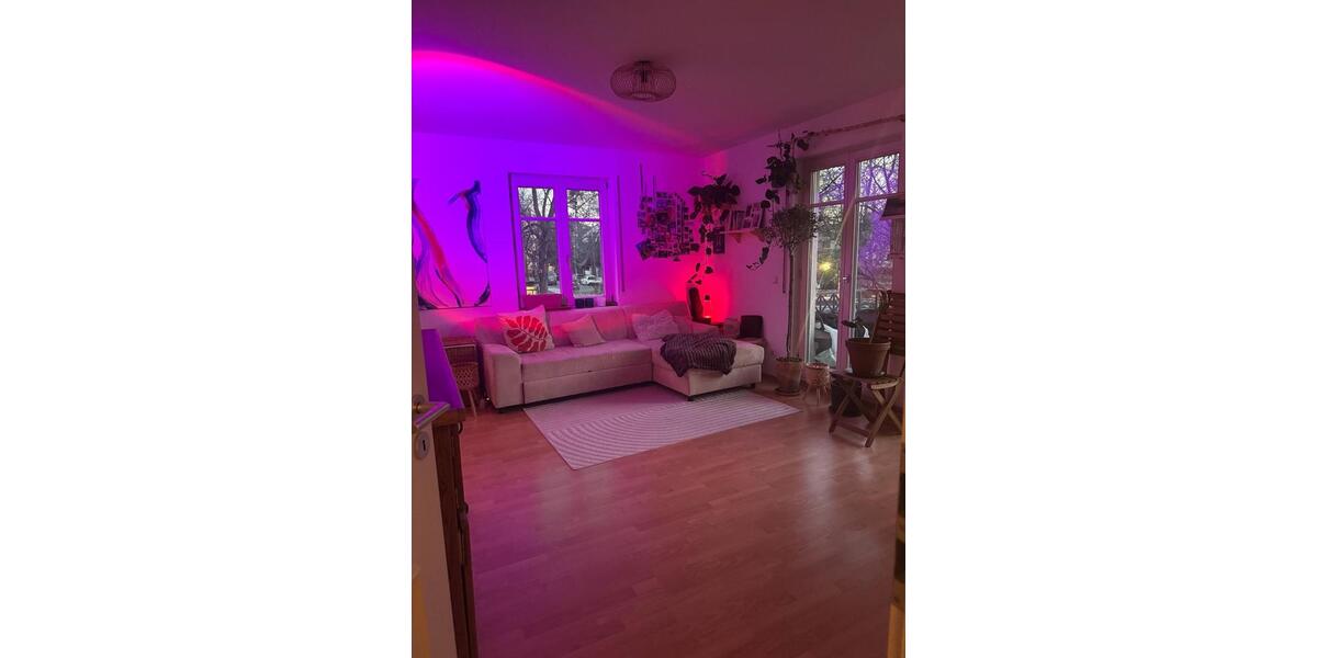 Etagenwohnung Dresden Neustadt - 2 Zimmer, 48 m&sup2;, 960&euro; | Angebot:26544910