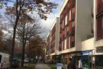 Gewerbeobjekt Dresden Südvorstadt-West - 1 Zimmer, 960&euro; | Angebot:25928006
