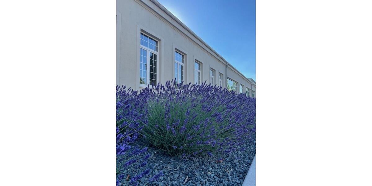 Büro ohne MwSt. in Bürogemeinschaft mit Küche zimmer