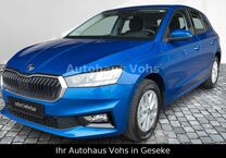 Gebrauchtwagen Skoda Fabia