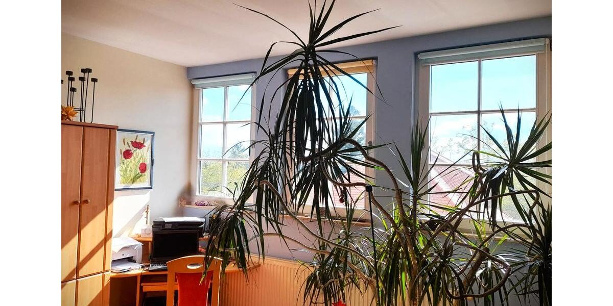 Dachgeschoßwohnung Dresden Klotzsche - 2 Zimmer, 64 m&sup2;, 289.000&euro; | Angebot:26795905