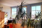 Dachgeschoßwohnung Dresden Klotzsche - 2 Zimmer, 64 m&sup2;, 289.000&euro; | Angebot:26795905