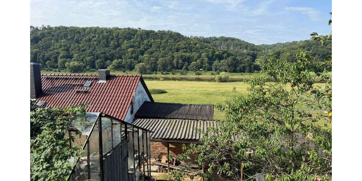 Großzügiges Hanggrundstück mit Altbestand und herrlichem Elbe Blick 5 zimmer