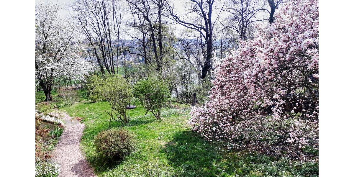 Villa Meißen - 875.000&euro; | Angebot:26973353