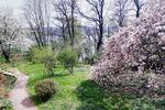 Villa Meißen - 875.000&euro; | Angebot:26973353