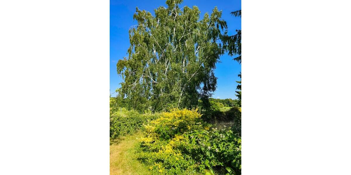 Grundstück Ebersbach Rödern - 48.000&euro; | Angebot:25691483