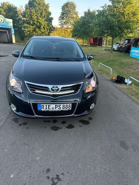 Avensis