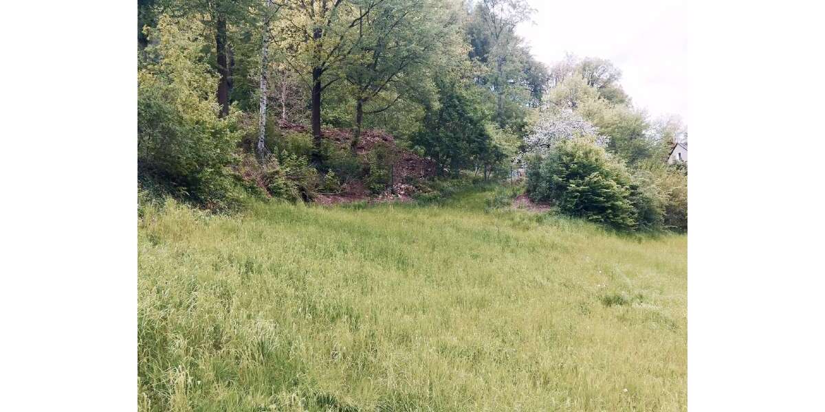 Grundstück Tharandt - 89.000&euro; | Angebot:21628418