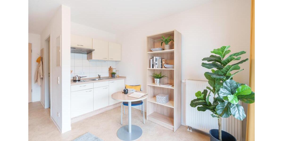 Etagenwohnung Dresden Neustadt - 1 Zimmer, 32 m&sup2;, 500&euro; | Angebot:21874267