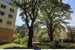 Etagenwohnung Dresden Pieschen-Süd - 2 Zimmer, 57 m&sup2;, 145.000&euro; | Angebot:25708926