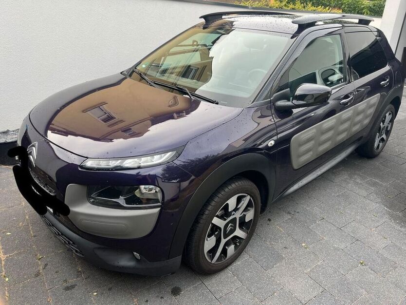 C4 Cactus