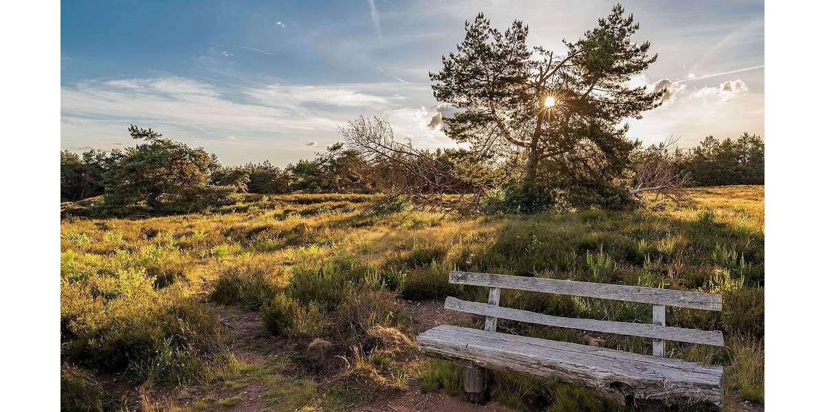 Wohnung zum Kaufen in Radeberg 399.999 € 134.8 m² 3 zimmer