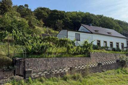 Großzügiges Hanggrundstück mit Altbestand und herrlichem Elbe Blick 5 zimmer