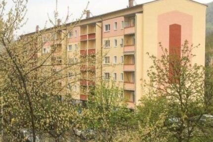 1-Zimmer-Wohnung in Radebeul 1 zimmer