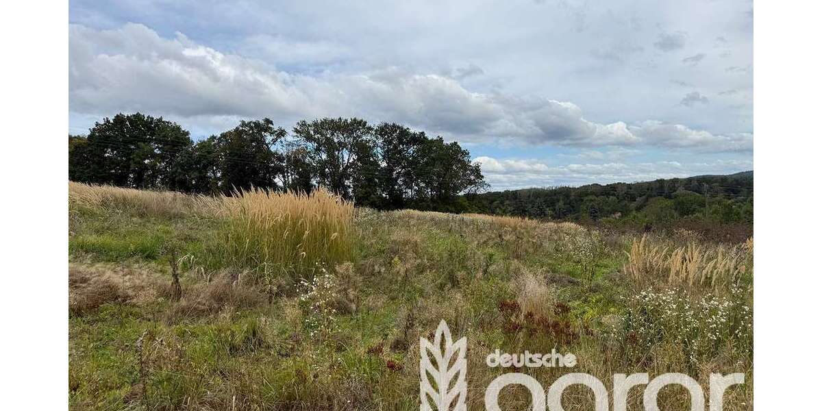 Grundstück in Klipphausen Gauernitz 5.900 € 9353 m² zimmer