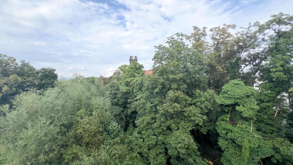 Dachgeschoßwohnung Dresden Plauen - 2 Zimmer, 80 m&sup2;, 687&euro; | Angebot:25224729