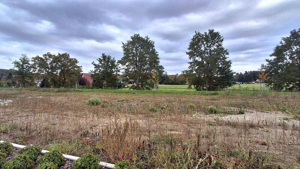 Grundstück Pirna - 264.000&euro; | Angebot:25749420