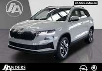 Gebrauchtwagen Skoda Karoq