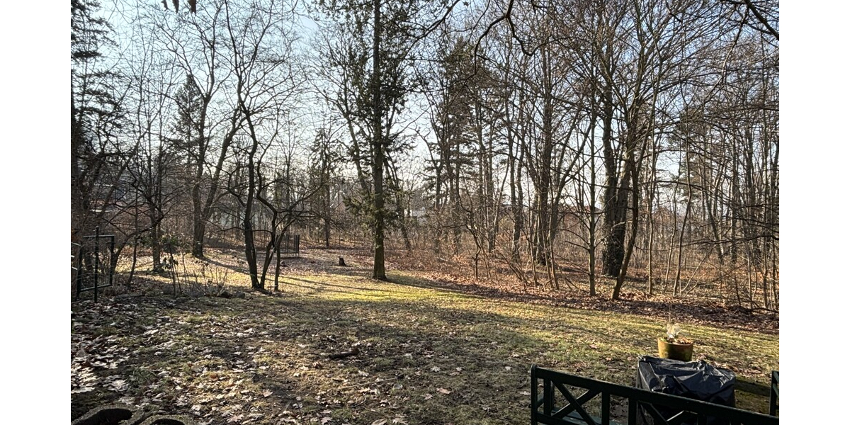 Traumhafte 5-Zimmer Eigentumswohnung im Park in absoluter Bestlage am Waldrand - Erdgeschoßwohnung Coswig | Angebot:25060534