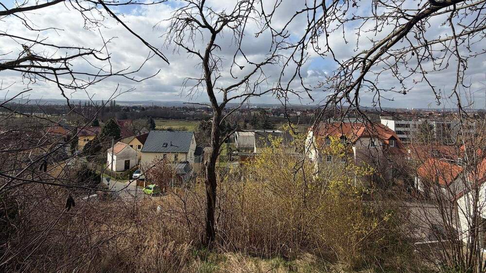 Mehrfamilienhaus, Wohnhaus Dresden Hosterwitz/Pillnitz - 8 Zimmer, 300 m&sup2;, 979.000&euro; | Angebot:25822715