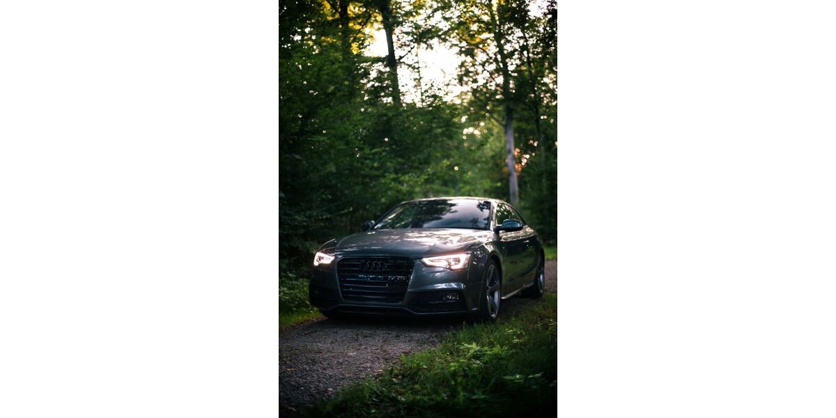 Audi A5 99.600 km 21.900 &euro; Dresden 01277