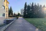 Grundstück Dresden Seevorstadt-Ost/Großer Garten - 590.000&euro; | Angebot:26427286