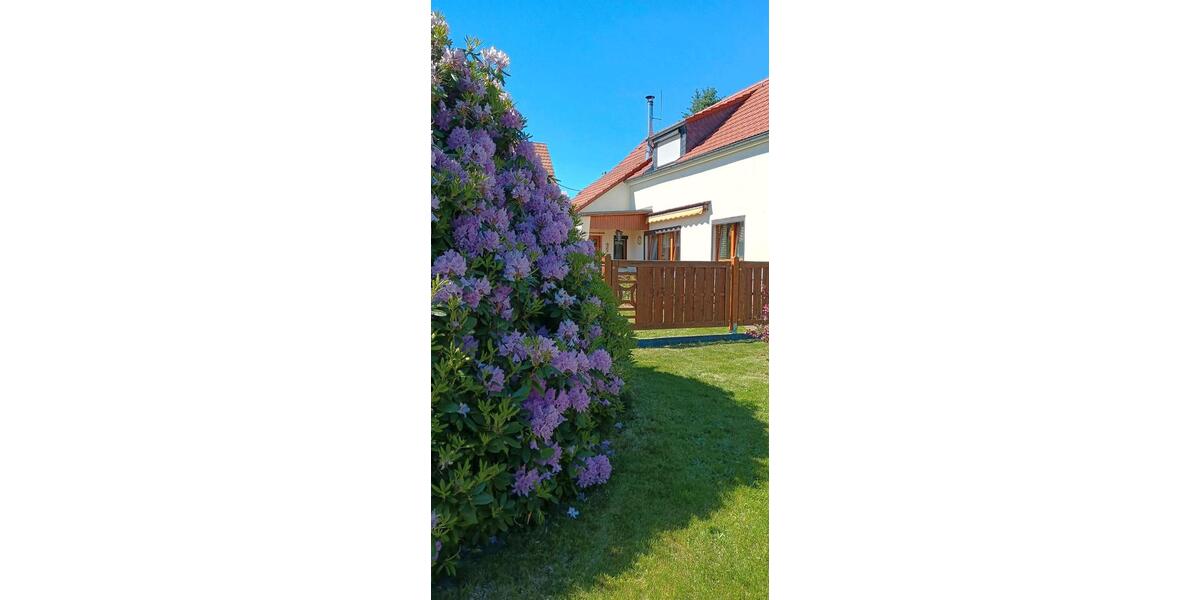 Einfamilienhaus Pirna - 5 Zimmer, 141 m&sup2;, 349.000&euro; | Angebot:26941813