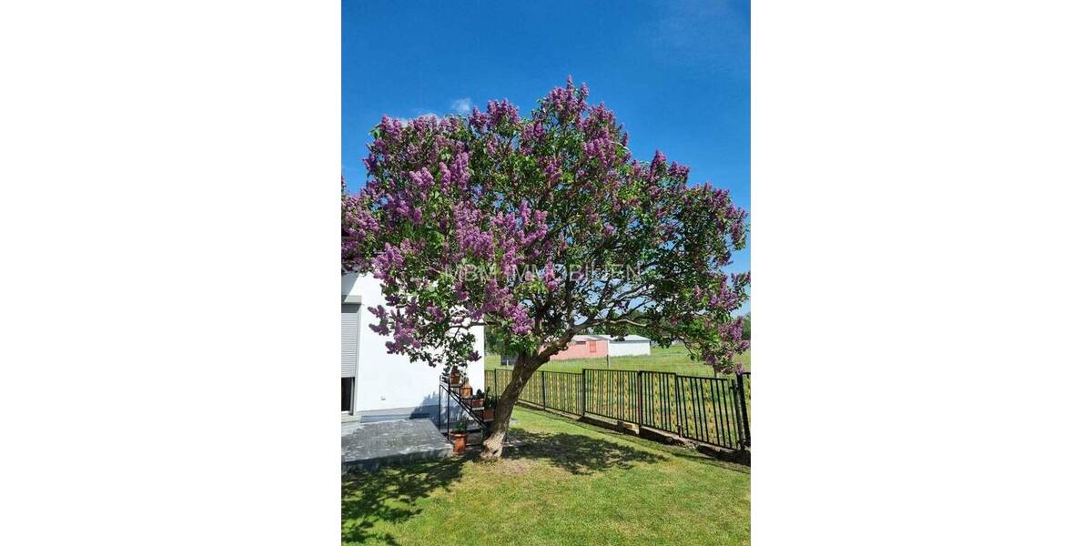 Bungalow Radeberg - 4 Zimmer, 220 m&sup2;, 549.000&euro; | Angebot:21103175