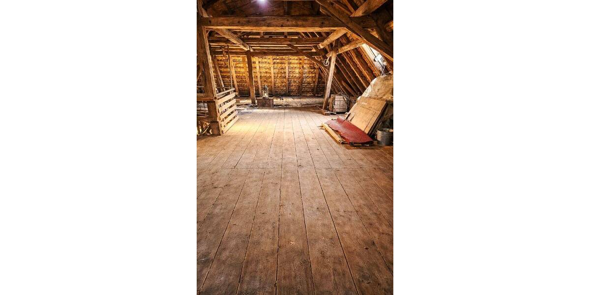 Einfamilienhaus Dippoldiswalde Reichstädt - 1 Zimmer, 317 m&sup2;, 300.000&euro; | Angebot:26885799