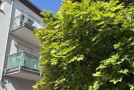 Zentrale Lage mit Potenzial: 2-Zimmer-Eigentumswohnung in Coswig – Ideal für Paare & Kapitalanleger! - Wohnung Coswig | Angebot:27307718