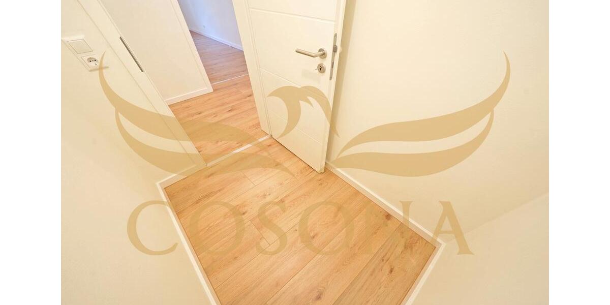 Erdgeschoßwohnung Dresden Schönfeld-Weißig - 2 Zimmer, 63 m&sup2;, 650&euro; | Angebot:26211129
