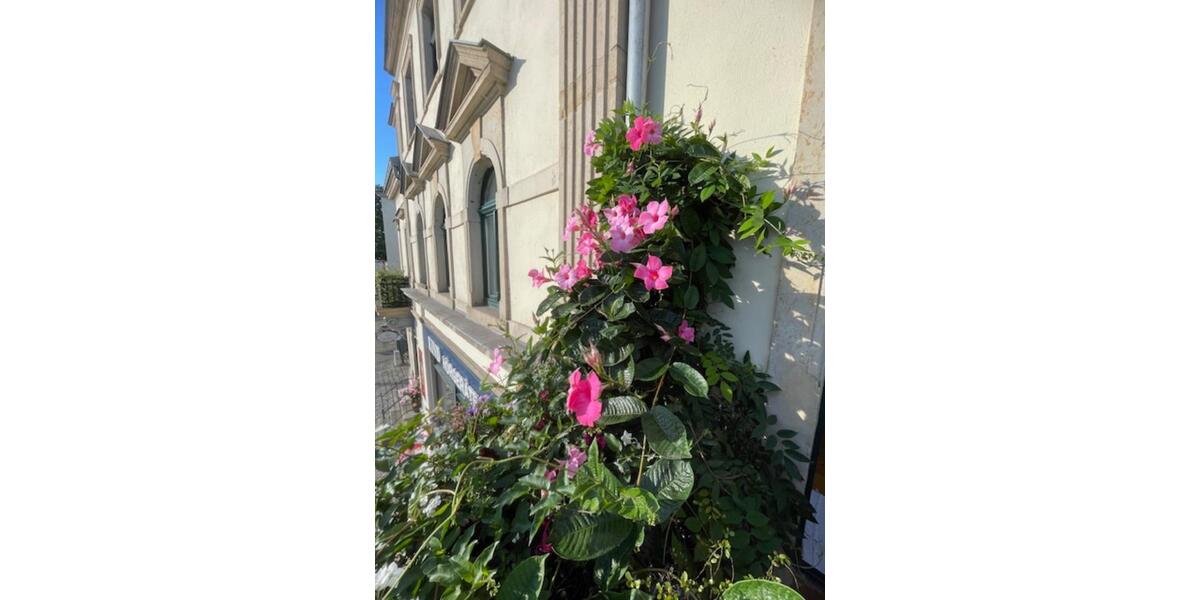 Etagenwohnung Dresden Blasewitz - 4 Zimmer, 88 m&sup2;, 1.400&euro; | Angebot:26232056